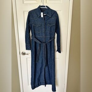 Banana Republic The Western Shirt Dress
